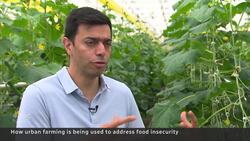 These urban farms are helping feed people who struggle to pay for food News Clip