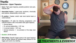 TherEx | Upper Trapezius Stretch Instructional Video