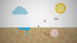 I WONDER - What Is A Carbon Sink?
 Me Pregunto - Qué Es Un Sumidero De Carbono? Instructional Video