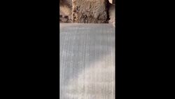Inside a Cardboard Factory! Instructional Video