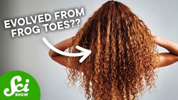 Your Gorgeous Hair Evolved From Frog Toes Instructional Video