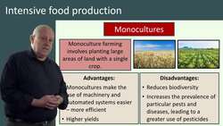 Intensive Food Production: Pros and Cons of Monoculture Farming and Intensive Livestock Production Instructional Video