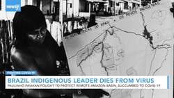 Brazil Indigenous Leader, Fighter For Rainforest Dies Of COVID-19 News Clip