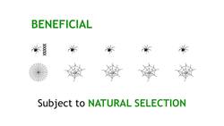 Innate Behaviour Instructional Video