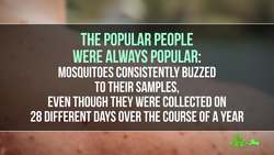 5 Things That Make You a Mosquito Magnet Instructional Video