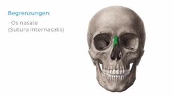 Os nasale (Nasenbein) Instructional Video