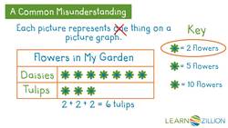 Putting Pictures on a Graph Instructional Video