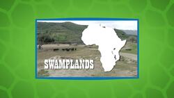 Don’t Spar With This Cape Buffalo Because He Might Be The Boss Instructional Video