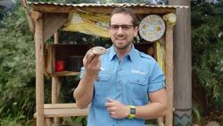 How the Crafty Blue Tongued Skink Fools Predators Instructional Video