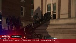 NYPD storm Hamilton Hall to remove pro-Palestinian protesters News Clip