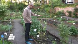The Sweet Science: How Popcorn, Marshmallows, and Fruit Nuggets Are Made Instructional Video