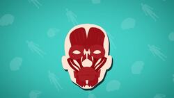 I WONDER - How Many Muscles Does It Take To Smile? Instructional Video