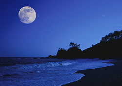 The Moon and Spring Tides Instructional Video