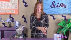 Endangered Animals! Instructional Video