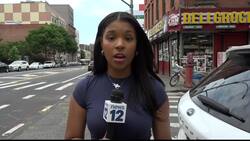 NYPD: Man wanted for stealing pit bull outside of Morrisania store News Clip