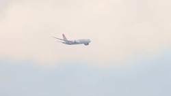 Stowaway falls from jet into South London garden News Clip