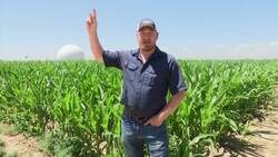 Farmers use tech to squeeze every drop from Colorado River News Clip