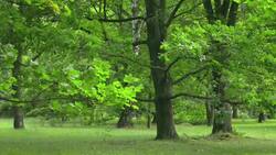 High Five Facts - Habitats Choca Esos Cinco - Hábitats Instructional Video