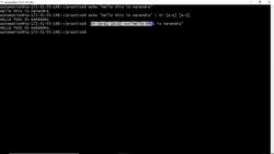 Bash Shell Scripting- Here String Usage Instructional Video