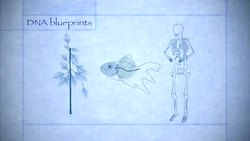 Secrets of Plant Genomes Revealed! - Intro Instructional Video