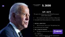 Experts Say U.S. Companies Aren't Prepared To Deal With Cyberattacks News Clip