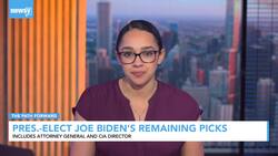 Bernie Sanders Pushes For More Progressives In Biden's Cabinet Picks News Clip