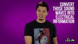 What Makes Your Ears Ring? Instructional Video