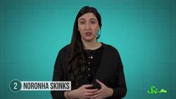 Crabs, Cockroaches, and 3 Other Pollinators That Aren't Bees Instructional Video