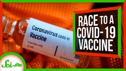 We May Have a COVID Vaccine in 2021, But Not Without Taking Risks Instructional Video