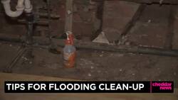 Tips for Flooding Clean-Up News Clip