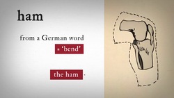 Hamlet 2.2 Word Nerd: Ham Instructional Video