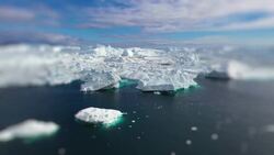 Do People Live in The North Pole? Instructional Video