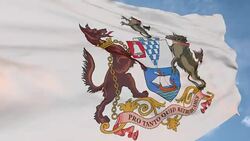 Dog and horse. The historic flag of Belfast, Northern Ireland. the logo symbol of the city Stock Footage