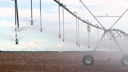 Pivot irrigation system in 4K 60fps. Close-up of pivot sprinkler system irrigating crops. Irrigation pivot system watering agriculture field Stock Footage