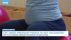 CDC Urges Pregnant People To Get Vaccinated News Clip