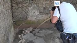 Three skeletal remains and two new frescos uncovered at Pompeii site News Clip