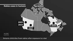 Ontario child dies from rabies after contact with bat Instructional Video