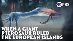 When a Giant Pterosaur Ruled the European Islands Instructional Video