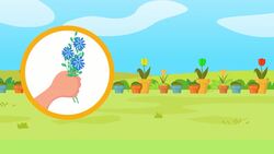 I WONDER - How Big Can Flowers Get? Instructional Video