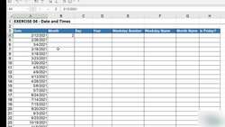 Microsoft Excel 2021365 - Beginner to Advanced - Exercise 04 - ork with the date and time functions Instructional Video