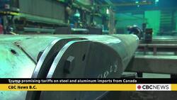 Trump promising tariffs on steel and aluminum imports from Canada News Clip