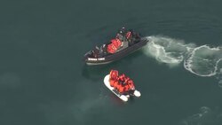 UK: UK Boarder Force vessel intercepting a migrant boat in the English Channel News Clip