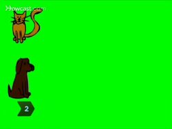 How to Select the Best Pet for You Instructional Video