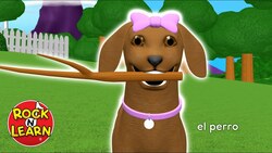 Learn Spanish: Animals Instructional Video