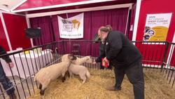 Royal Manitoba Winter Fair seeing more vistors interested in buying direct from farmers News Clip