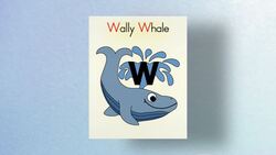 Where Are The Instructional Video