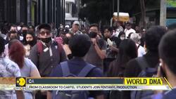 Mexican Cartels Hire Students For Drug Making News Clip