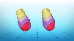 Bees build nests from plastic Instructional Video