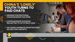 Loneliness Drives China's Multi-Billion Dollar Companion Economy News Clip