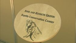 Zookeepers Hatch One of the Most Endangered Lizard Species in the World Instructional Video